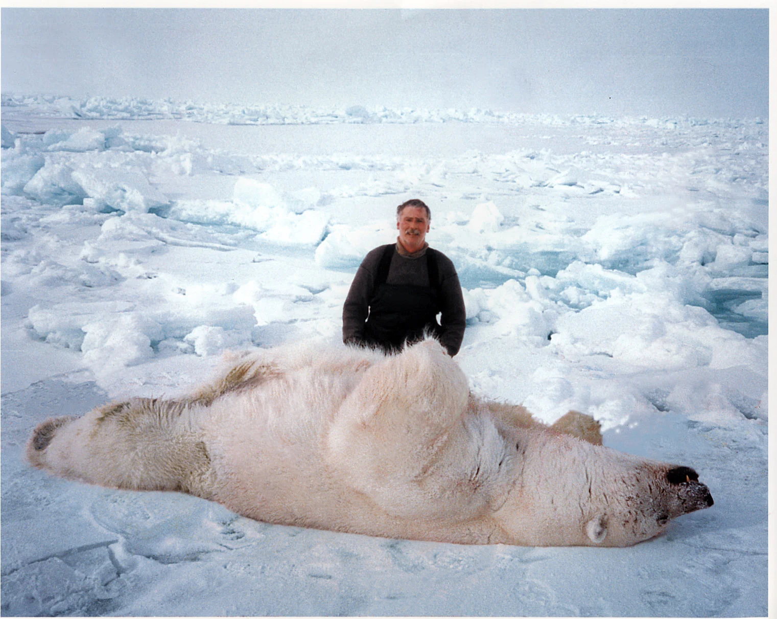 ○POLARBEAR○16×10×9◇B&G. ◇ Polar Bear, Bing & Grondahl figurine no. 1629 or 409 | No. 1020409