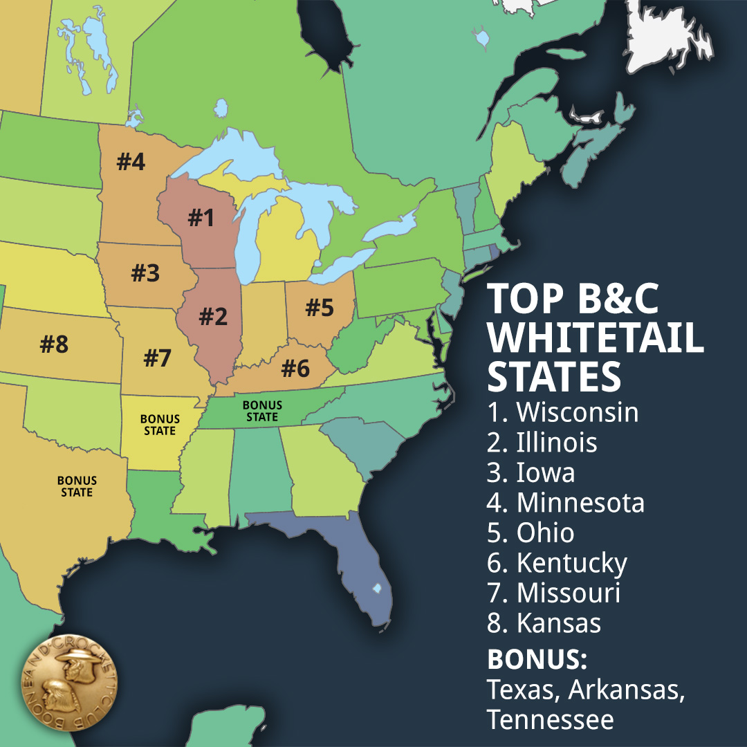 Top B&C Whitetail States