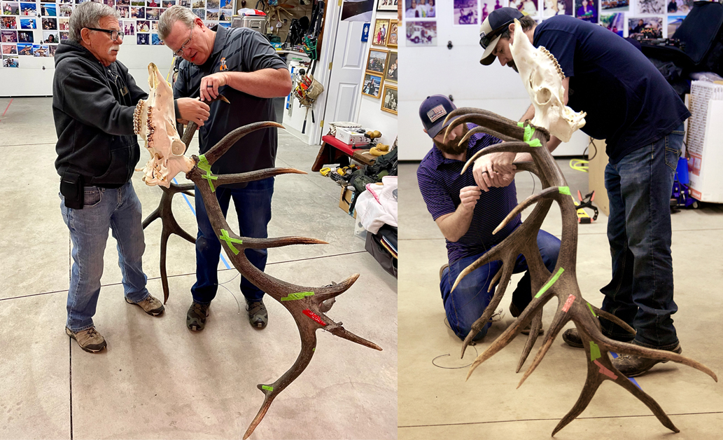 Measuring the trophy