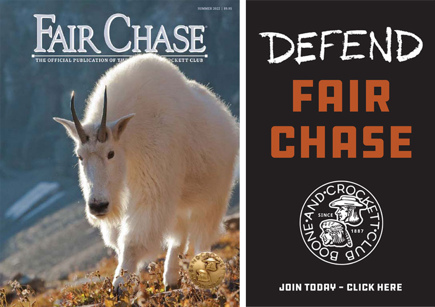 Fair Chase