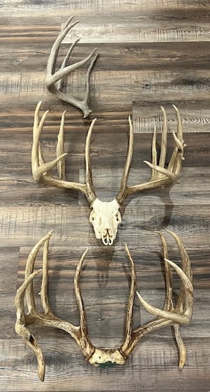 Sheds