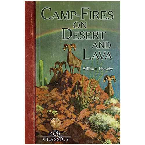 Camp-Fires