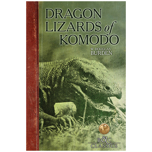 Dragon Lizards 