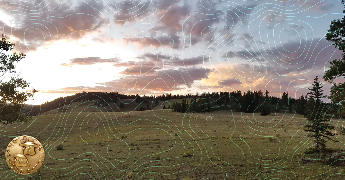 New Mexico wilderness