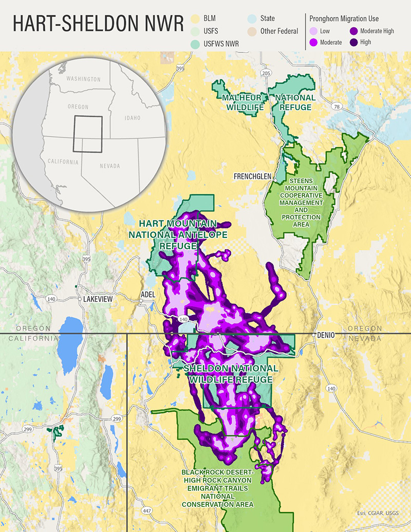 Pronghorn Migration Use at the Hart-Sheldon National Wildlife Refuge Map