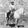 Theodore Roosevelt on a horse