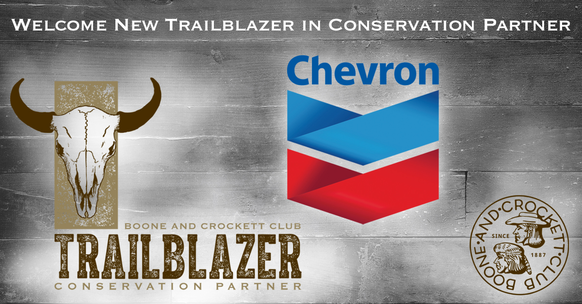 Chevron