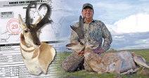 Pronghorn 