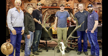 Roosevelt's Elk