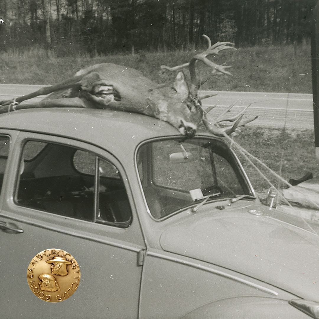 Non-typical Whitetail 