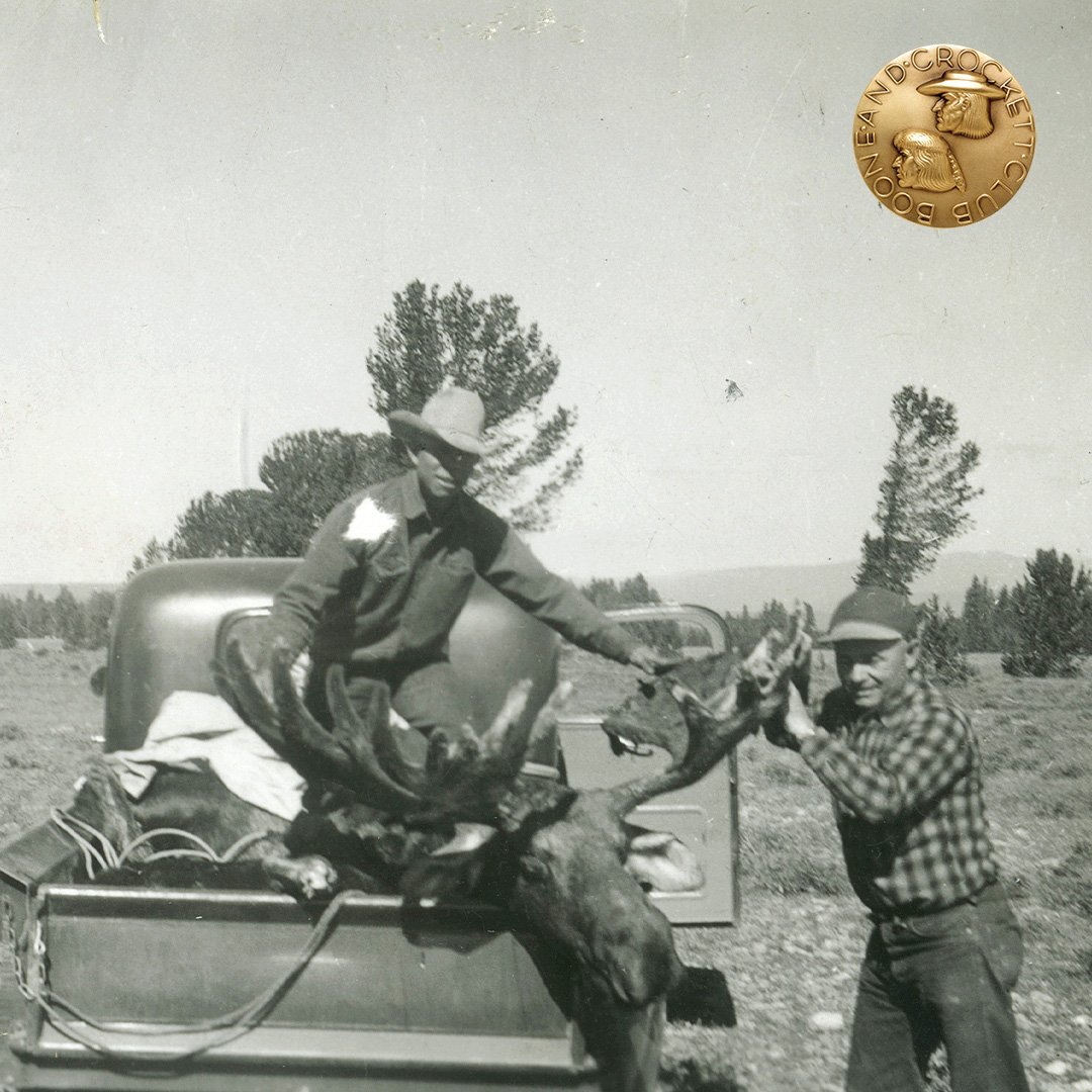 Arthur Chandler moose