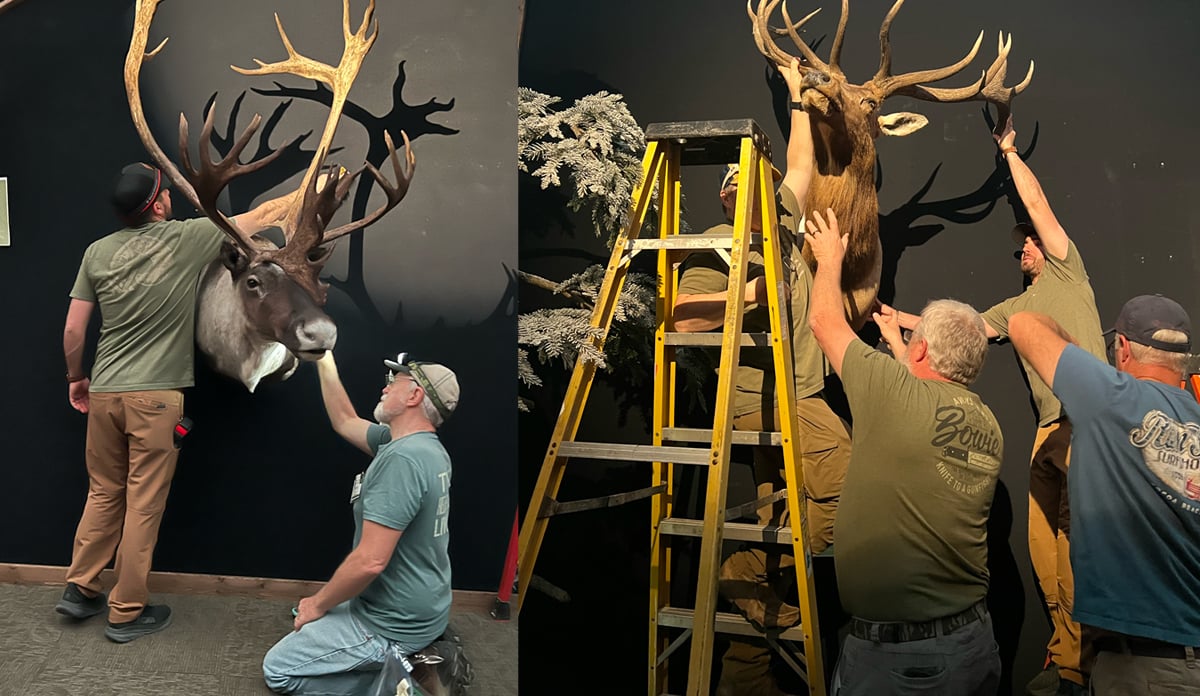 official measures scoring trophies