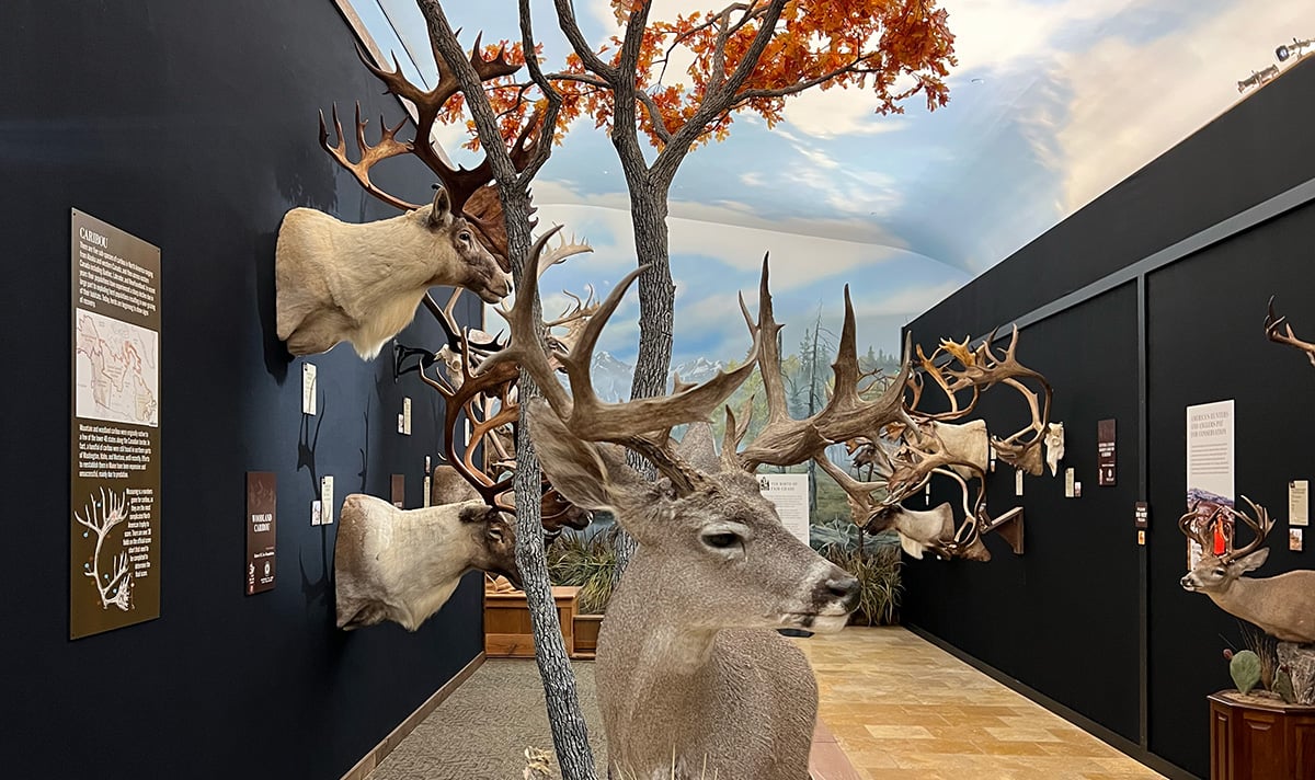 32nd big game awards