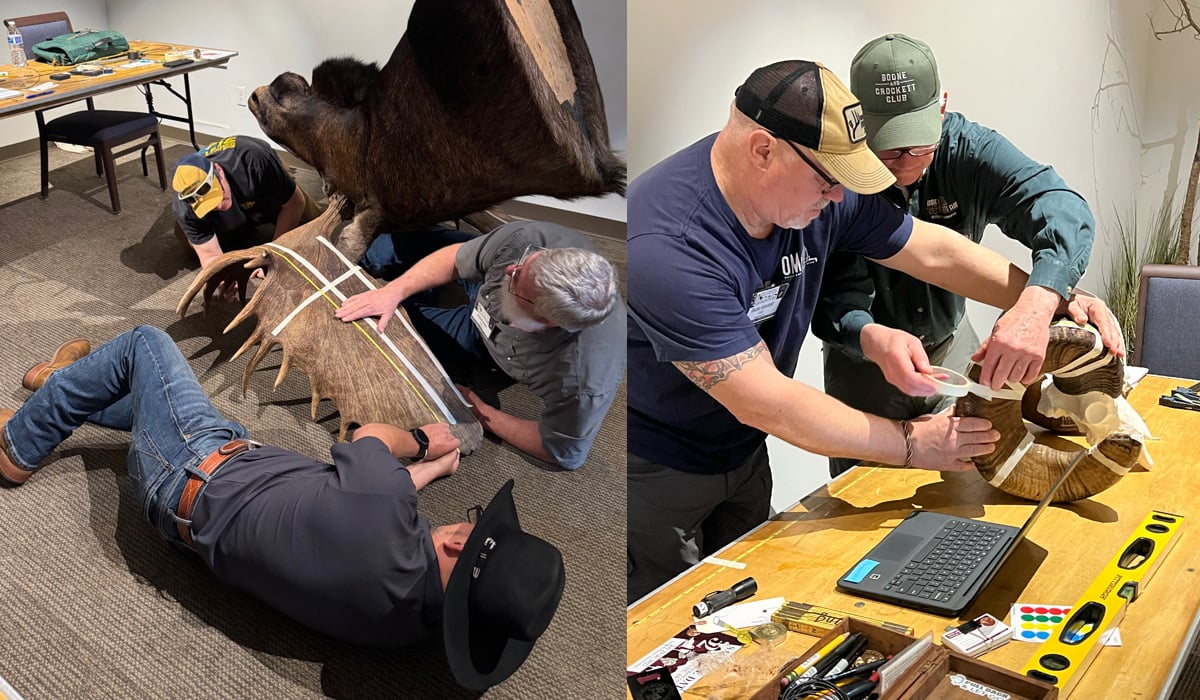 official measures scoring trophies