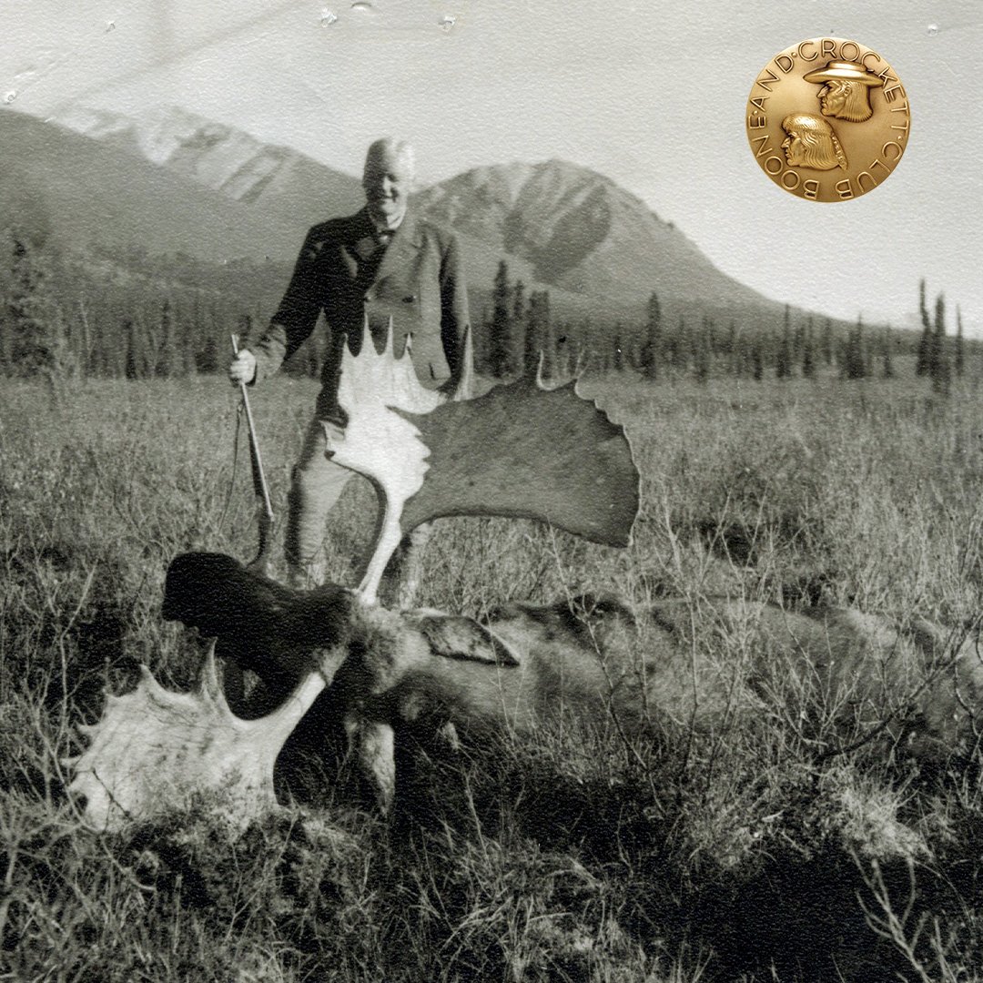 Nils Danielson moose