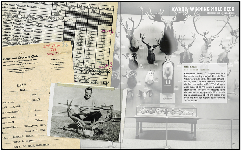 Mule Deer Retrospective - vintage photos 