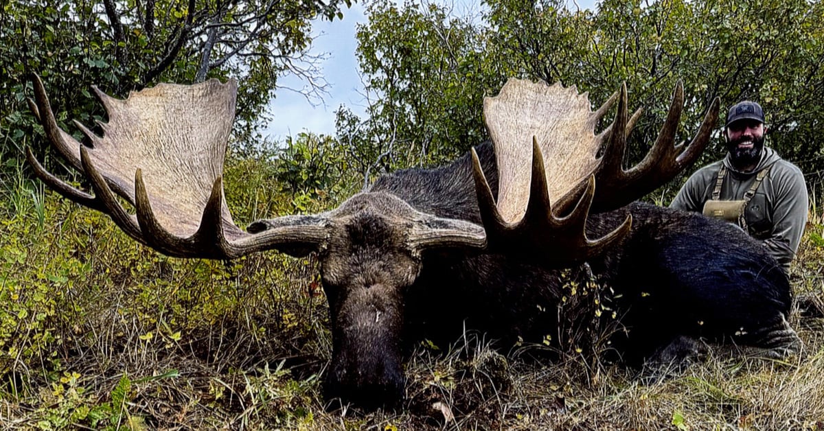 Brian van Lanen Alaska-Yukon moose