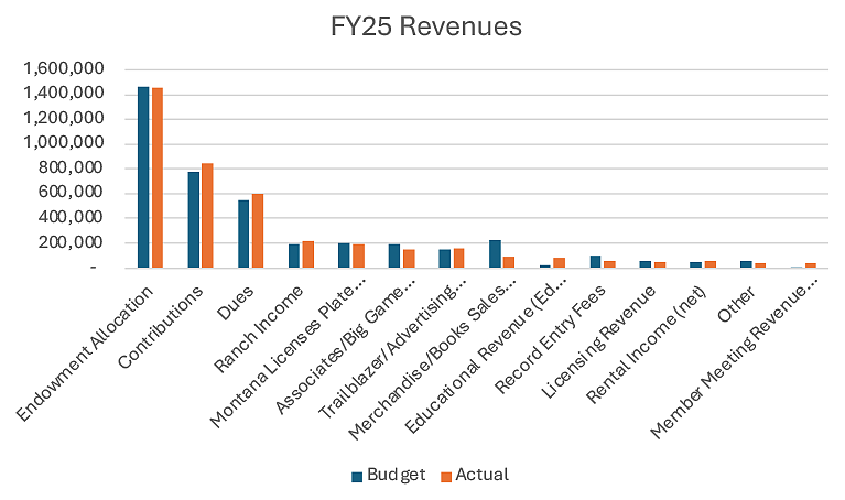 fiscal year 25 revenues graph