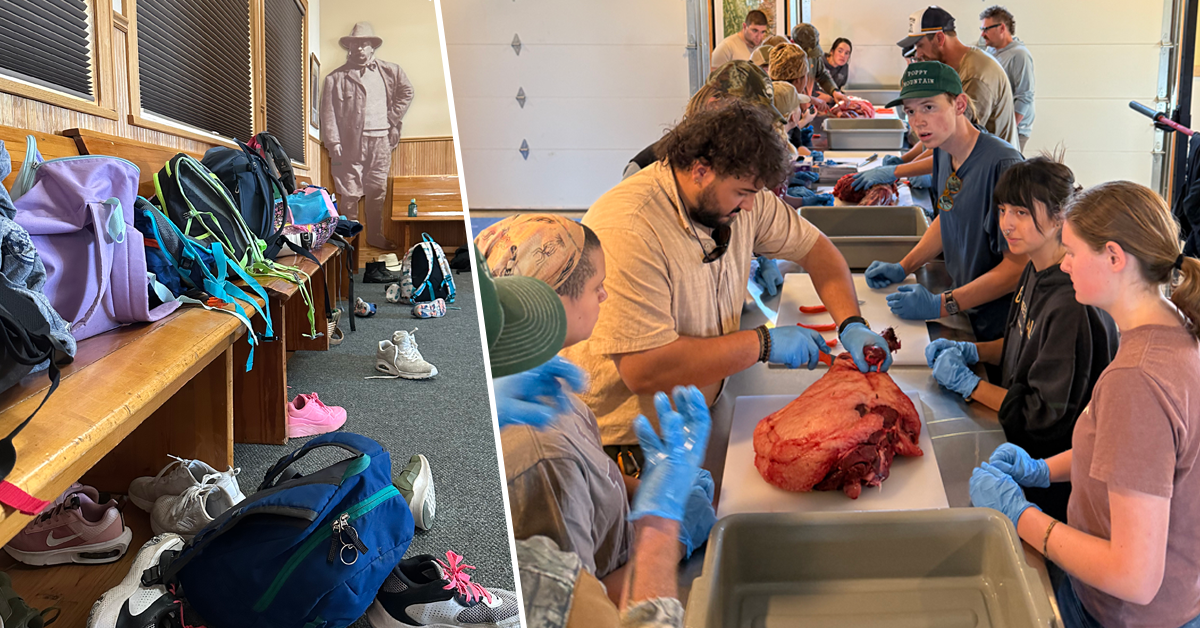 Children backpacks and game processing seminar