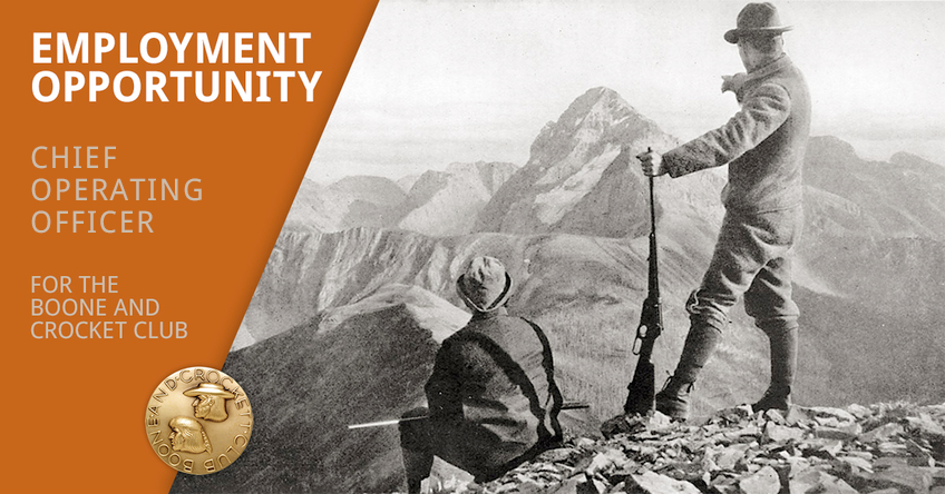 employment banner ad