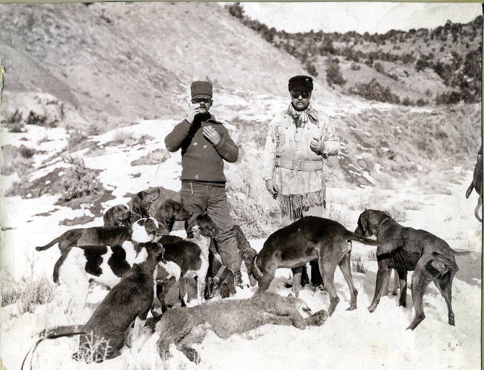 Theodore Roosevelt, right, living the dream in Colorado on a cougar hunt the same year President Mckinley was assasinated and Roosevelt become president.