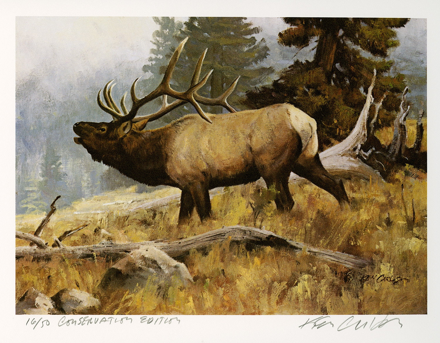 Conservation Stamp - Elk