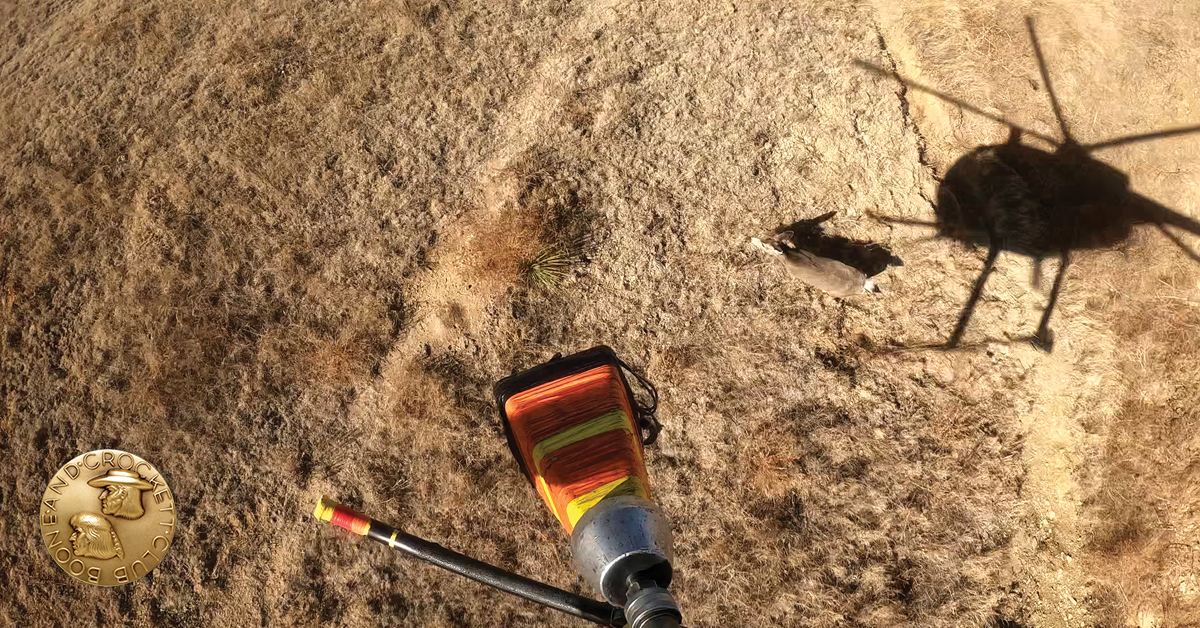 mule deer capture from helicopter