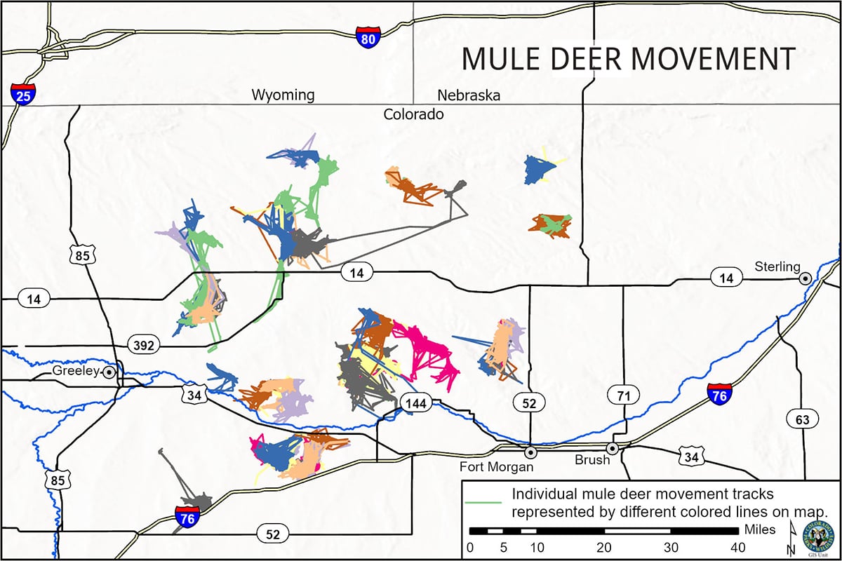 mule deer movement map