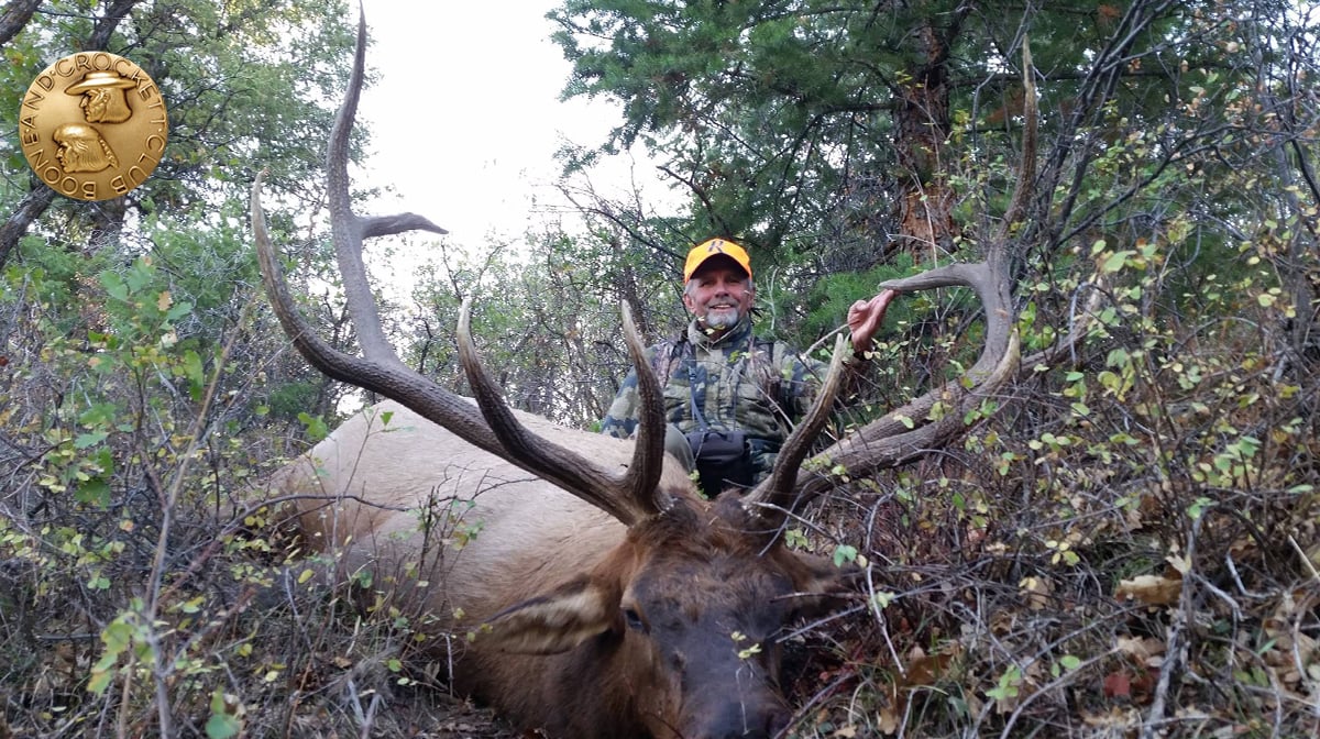 man sitting with harvested bull elk