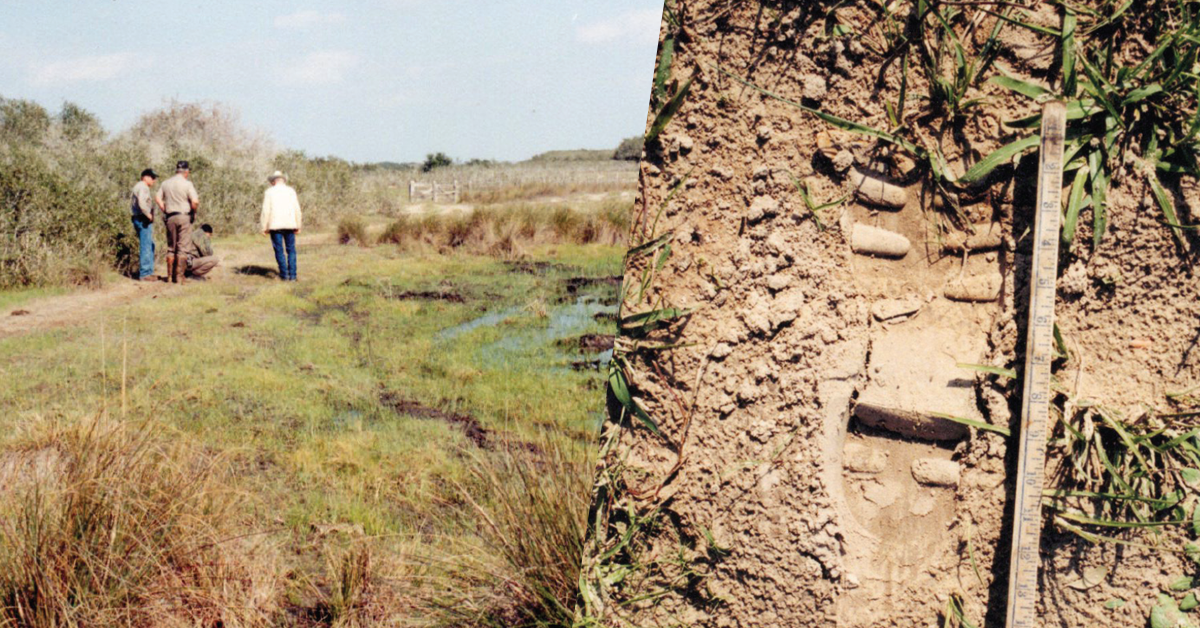 people surveying land