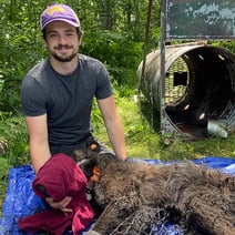 Hayden Walkush working with black bears