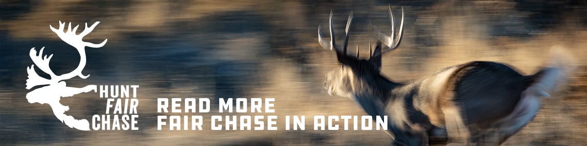 hunt fair chase banner ad