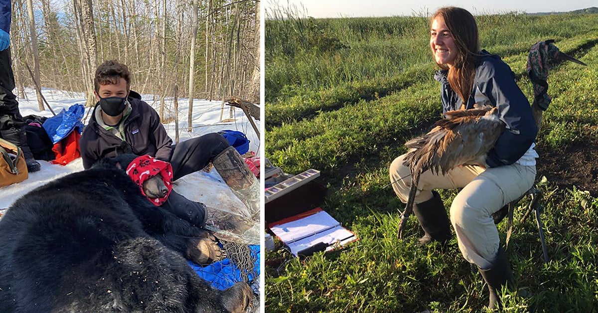 B&C fellows with wildlife
