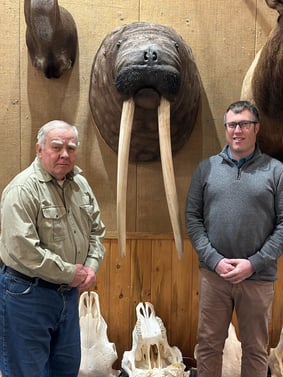 Jack Reneau and Kyle Lehr picking up the walrus from the taxidermist.