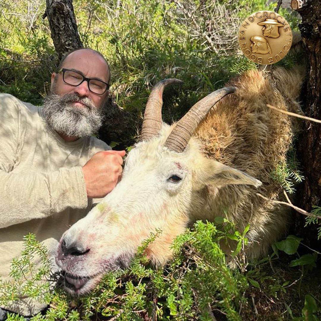 Judd D. Manuel rocky mountain goat