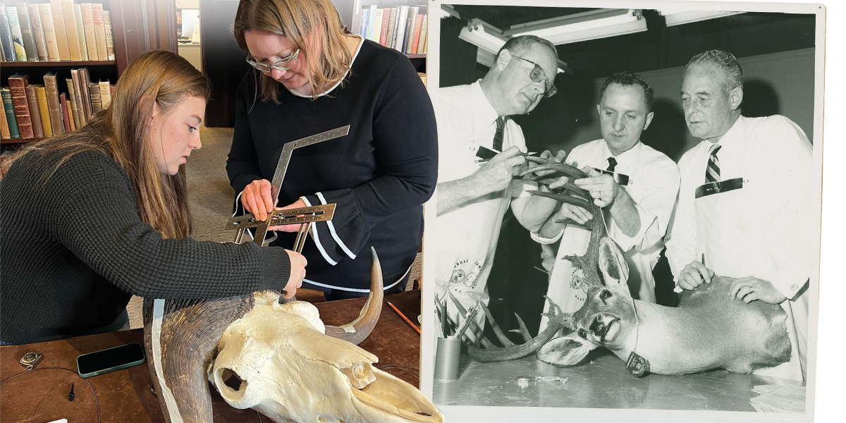 vintage vs present day collage trophy scoring