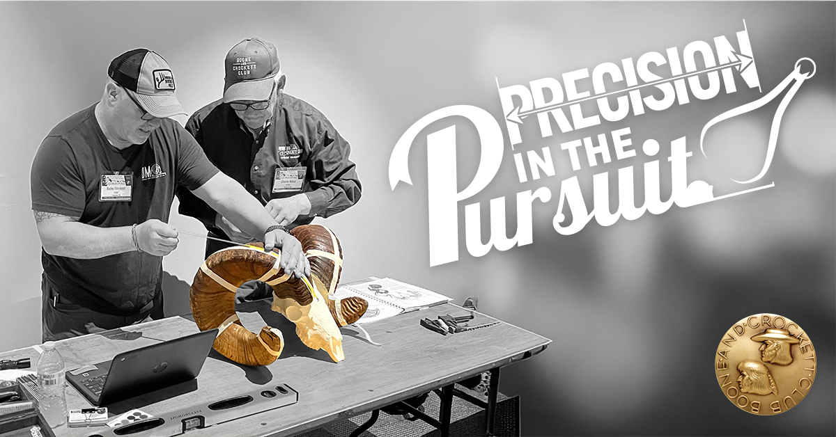 two men measuring ram skull