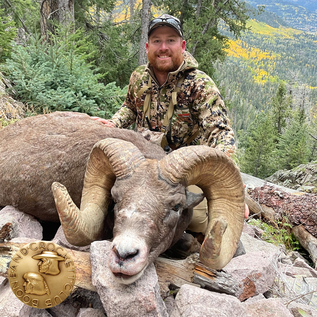 man with bighorn sheep