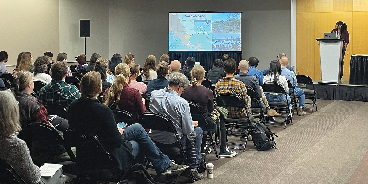 Texas A&M Kingsville PhD student and B&C Fellow Chloe Nouzille presented her mountain lion research at the conference.