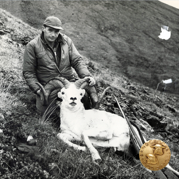 vintage photo of a man with a dall's sheep