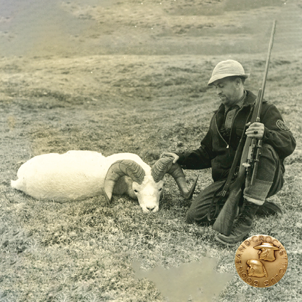 vintage photo of a man with a dall's sheep