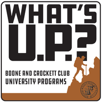 what's up program logo