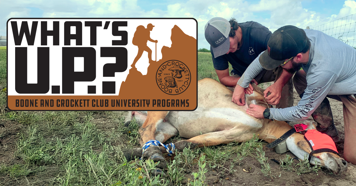 what's up program logo