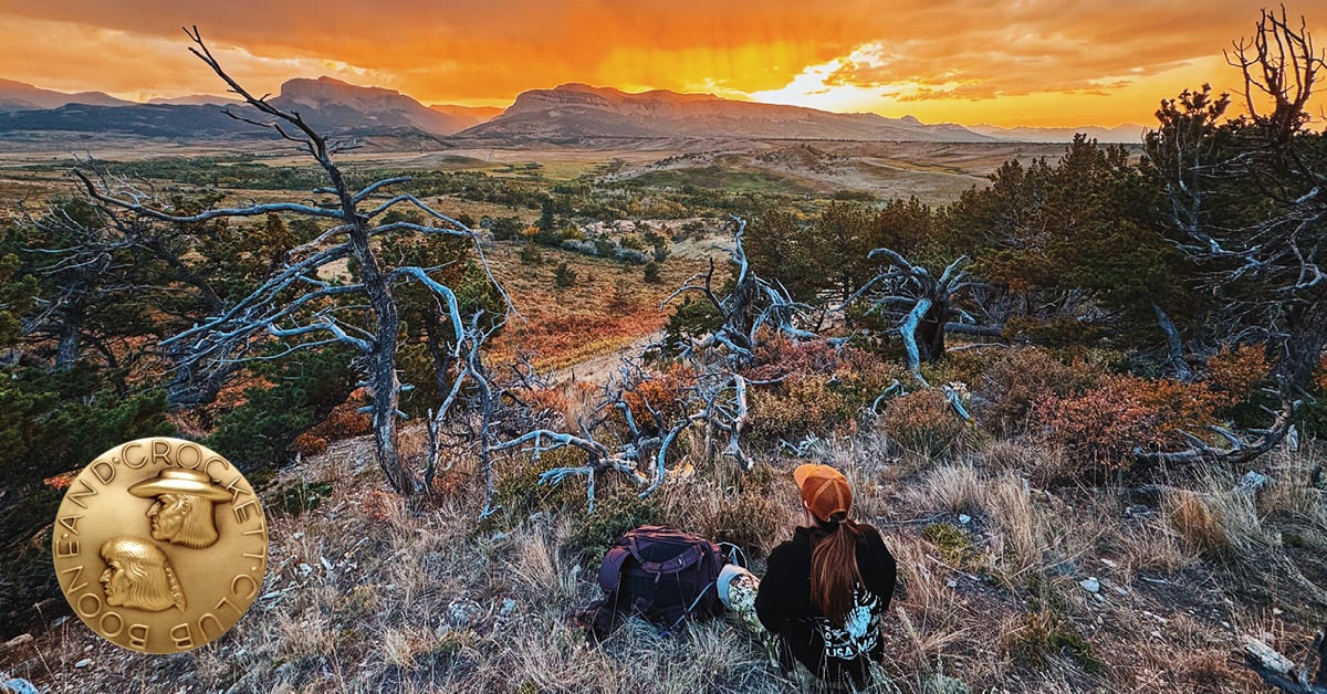 woman sitting outdoors