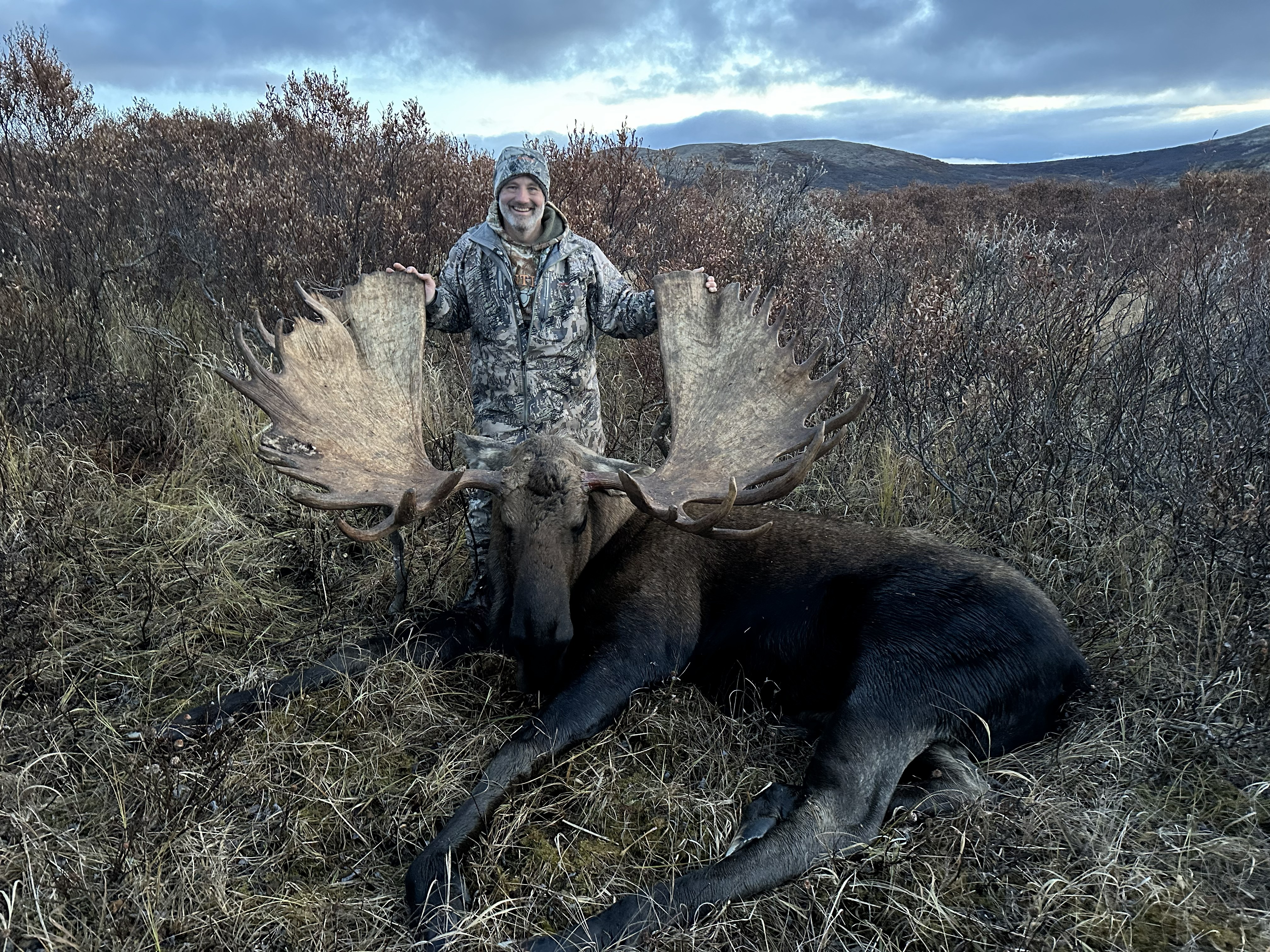 ALASKA-YUKON MOOSE