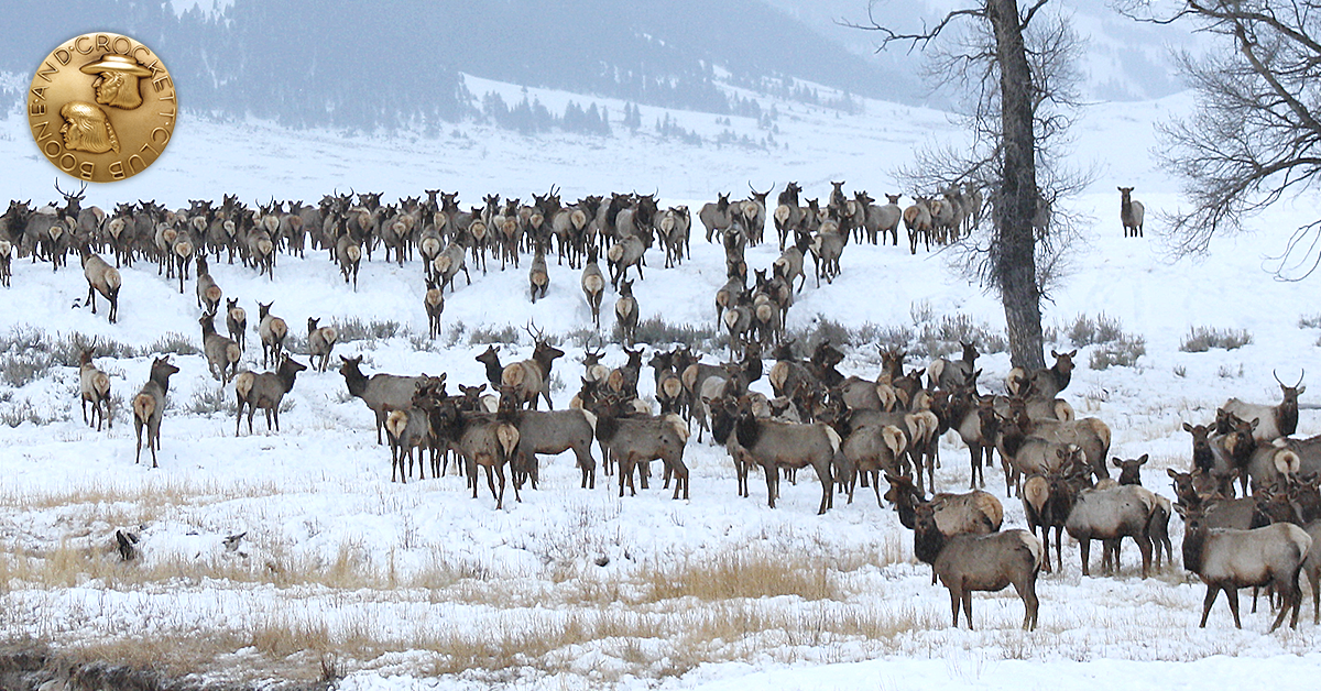 Boone and Crockett Club Touts New Funding for Big Game Migration Habitat Conservation
