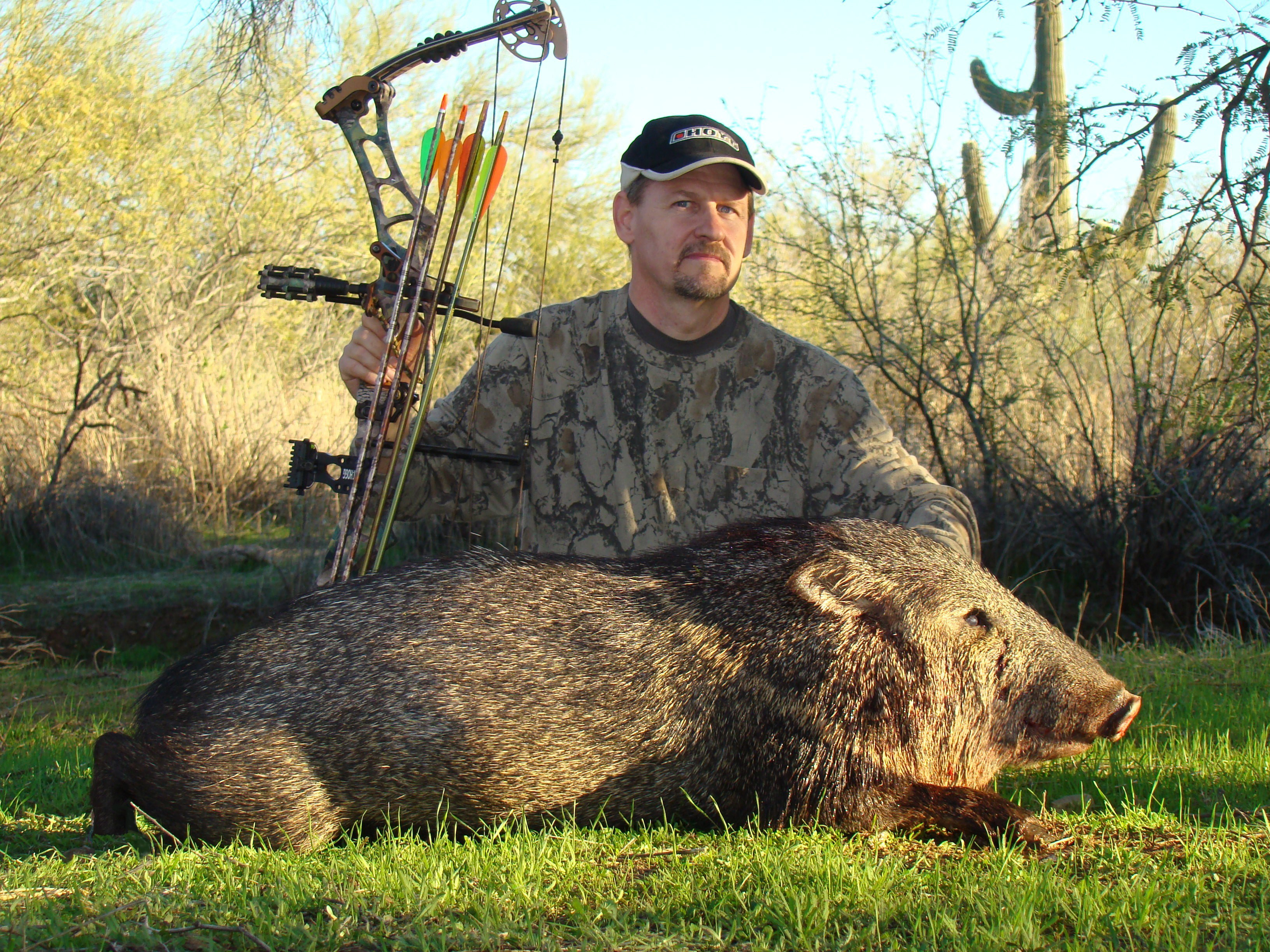 JAVELINA