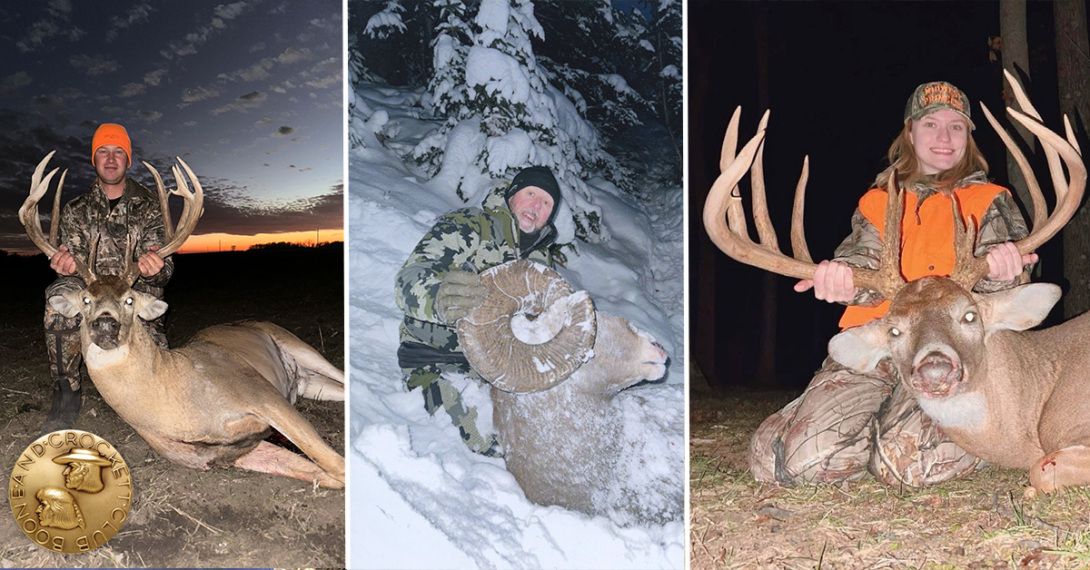 Whitetails and bighorns MTS Vol 21 