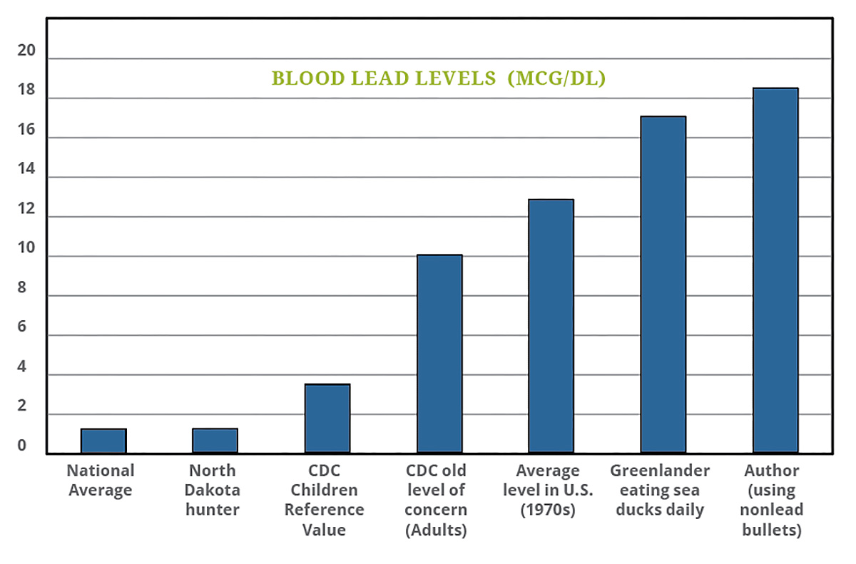 When Lead Meets Red Meat