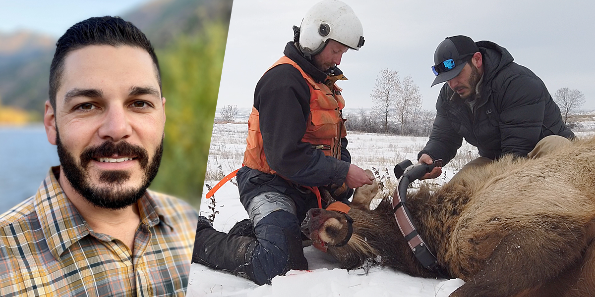 Dan Morina What's U.P.